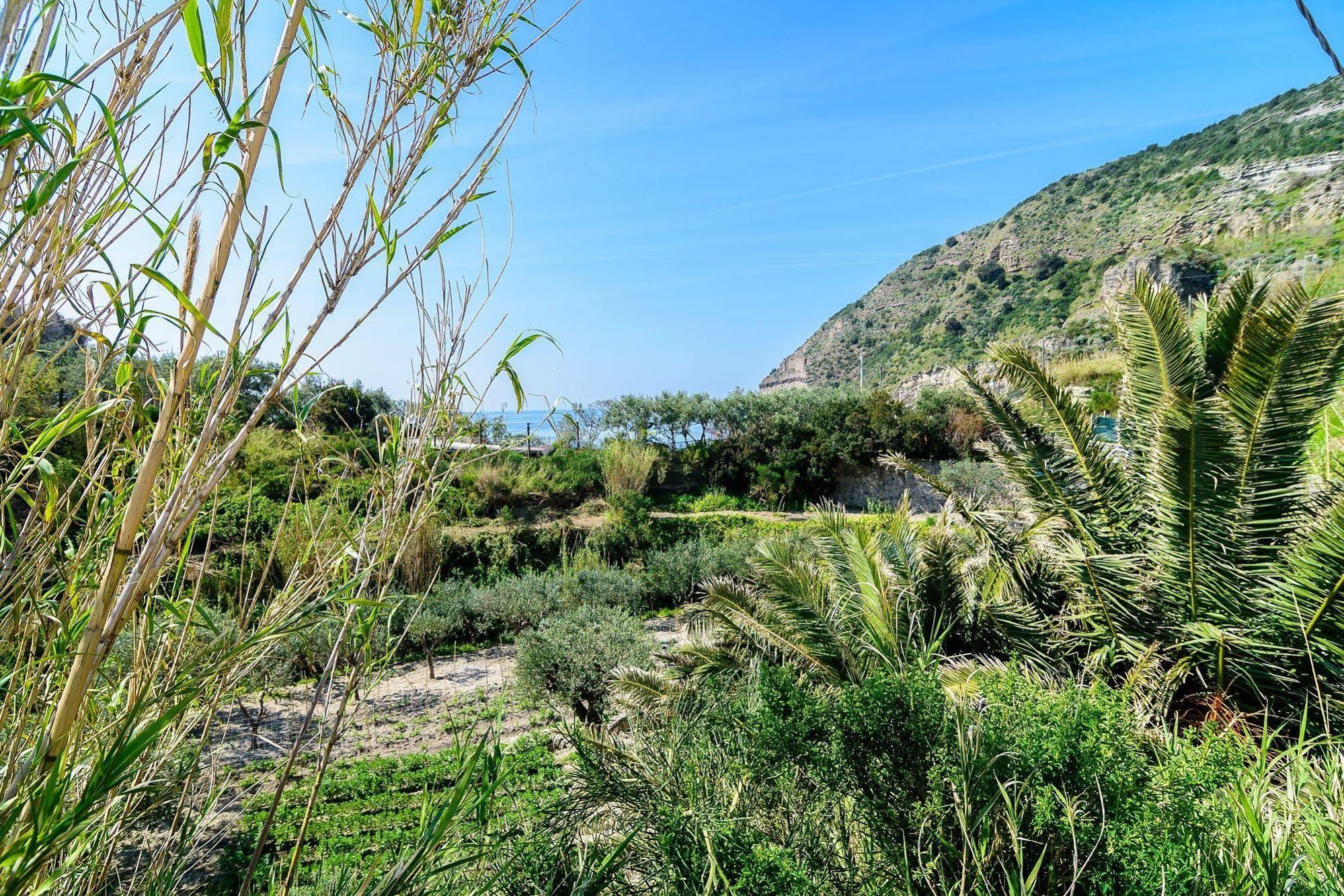 Hotel Villa Fumerie Forio di Ischia Exteriör bild